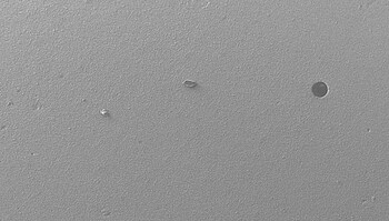 Luxatemp MaxProtect – ampliação de 60x