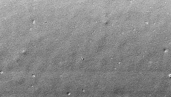 3MTM ProtempTM 4 – ampliação de 60x